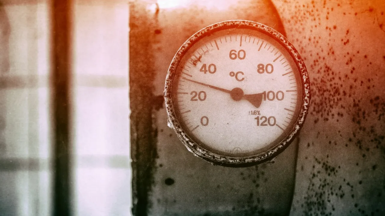 Best Humidity Level to Prevent Mold
