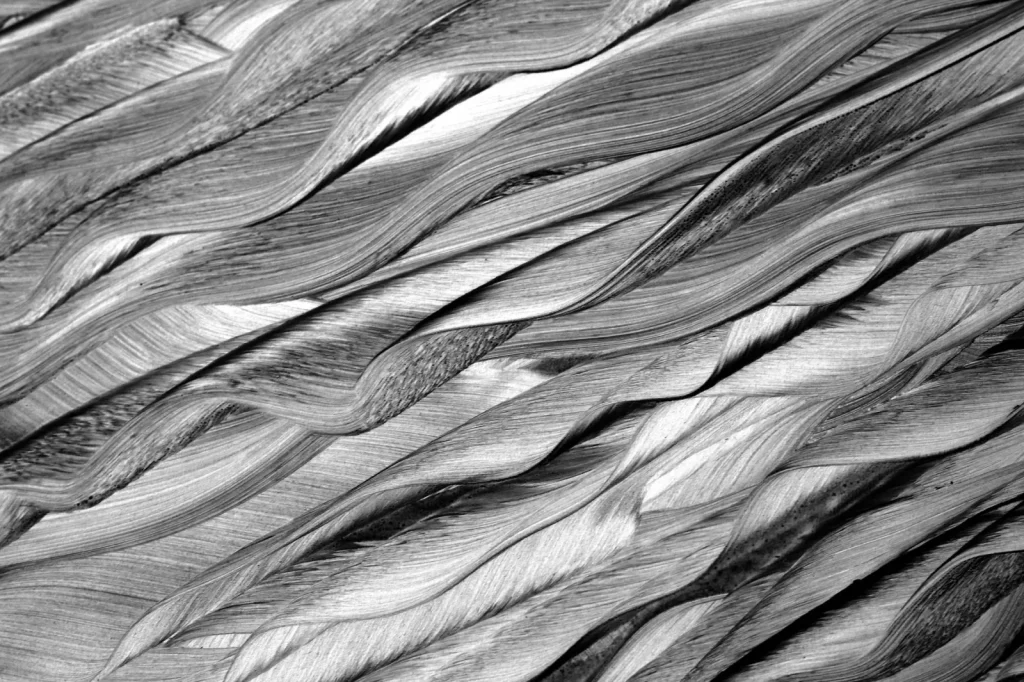 Close-up of a pleated true HEPA filter showing the dense glass-fiber media