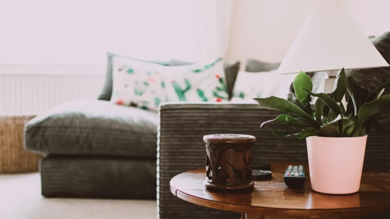 Home Humidifiers: Types, Sizing and Care Guide