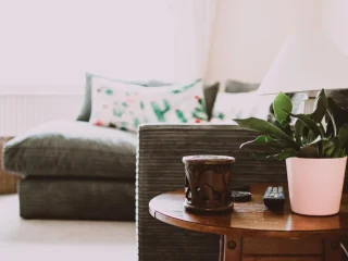 Home Humidifiers: Types, Sizing and Care Guide