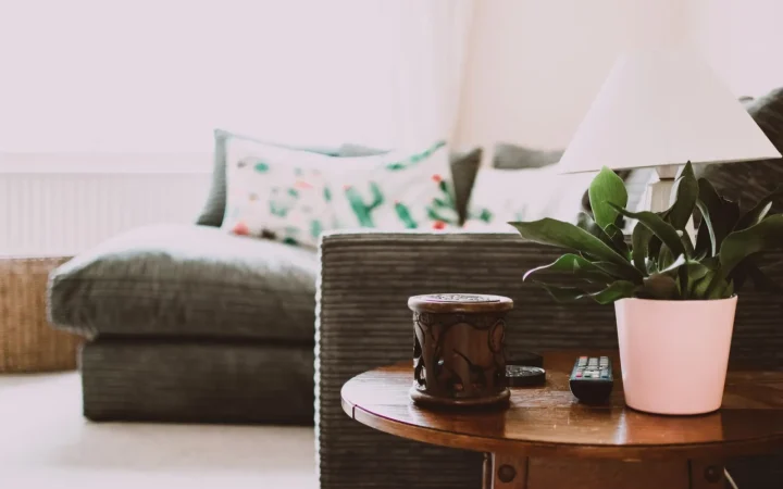 Home Humidifiers: Types, Sizing and Care Guide