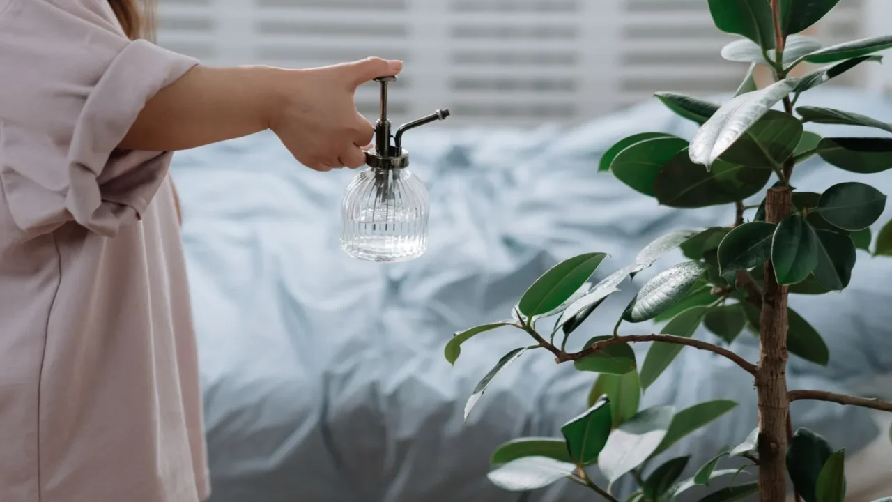 Humidifier Buying Guide: What Actually Matters