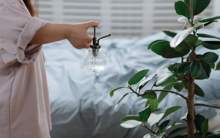Humidifier Buying Guide: What Actually Matters