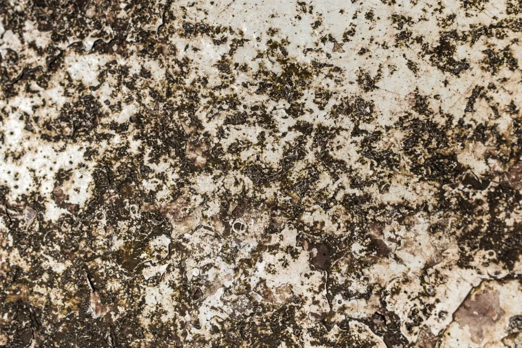 A discolored, mineral-crusted evaporative humidifier wick removed from its frame next to a clean white replacement