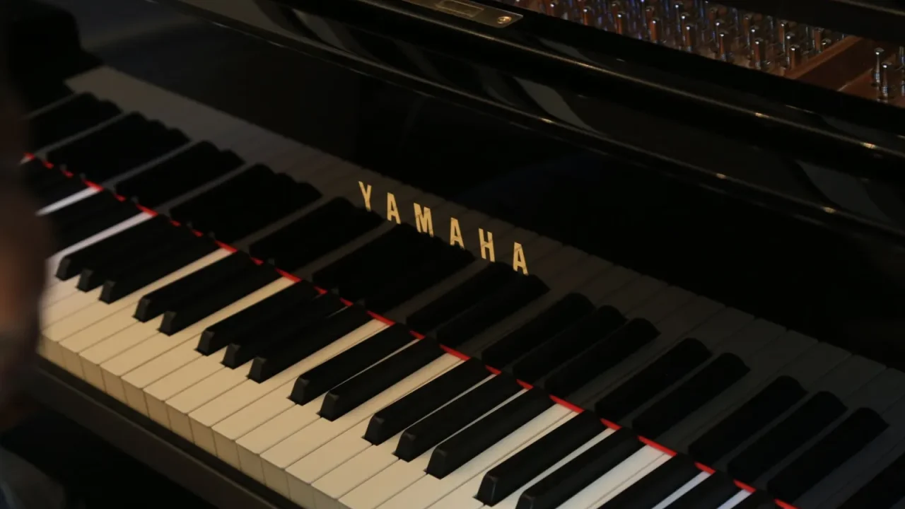 Ideal Humidity for Pianos