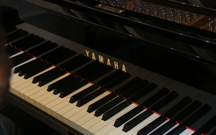 Ideal Humidity for Pianos