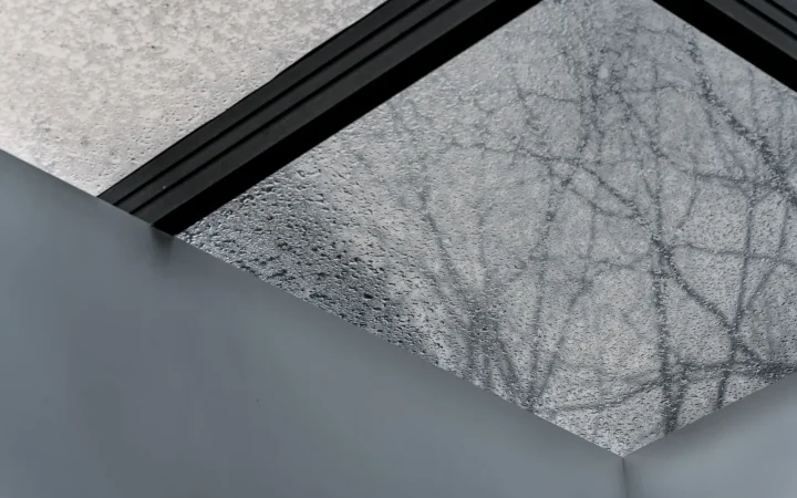 Ideal Indoor Humidity in Winter