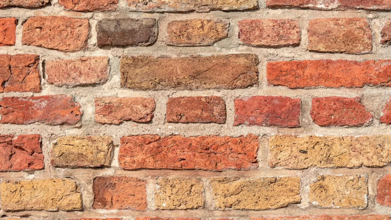 Rising Damp Basics for Homeowners