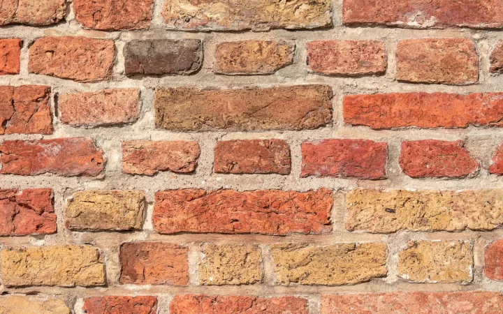 Rising Damp Basics for Homeowners