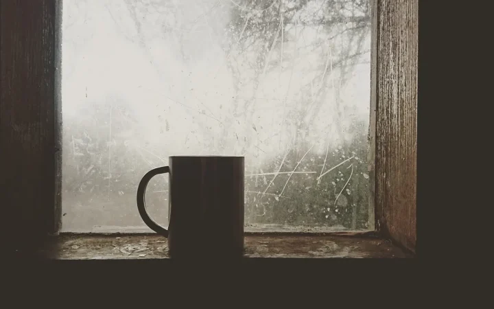 Signs You Are Over Humidifying Your Home