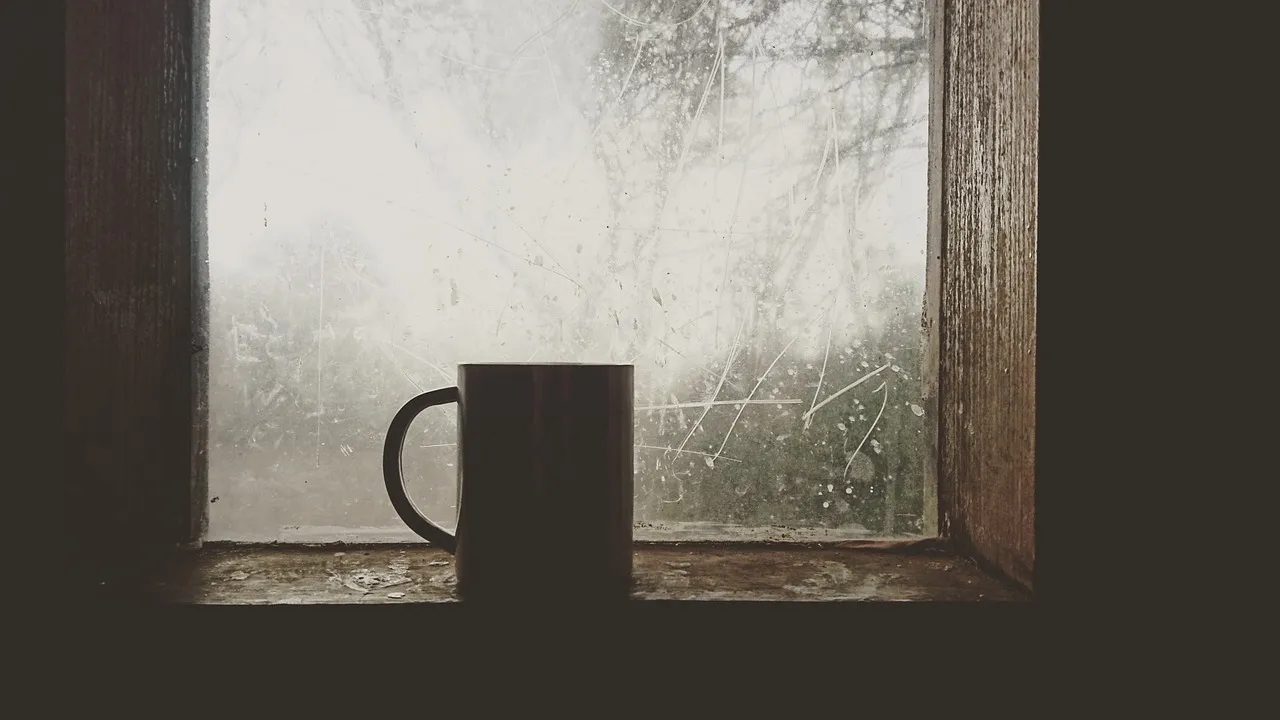 Signs You Are Over Humidifying Your Home