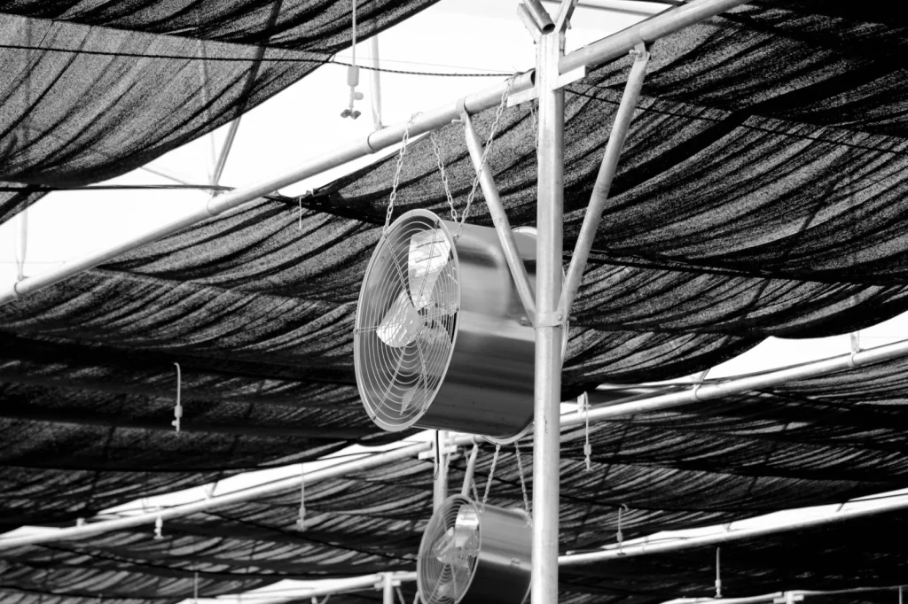 A bathroom ceiling exhaust fan clearing steam after a hot shower