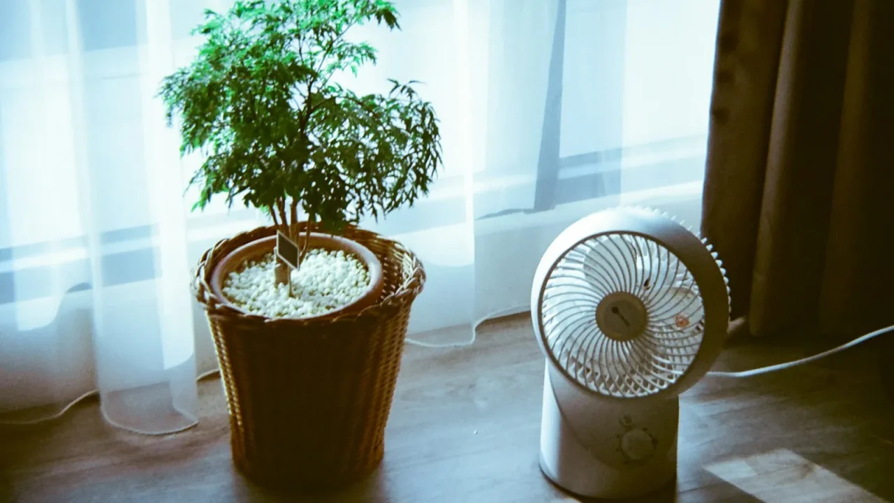 Where to Place a Dehumidifier in a Room