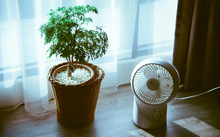 Where to Place a Dehumidifier in a Room