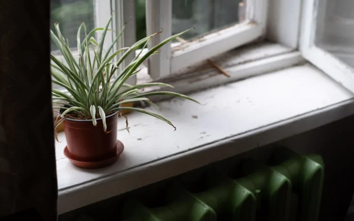Winter Dry Air Fixes Without a Humidifier